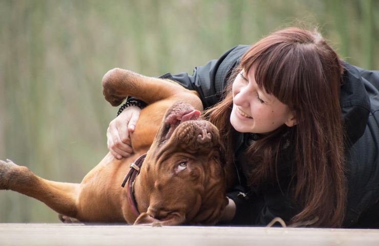 Come insegnare al tuo cane a rotolare