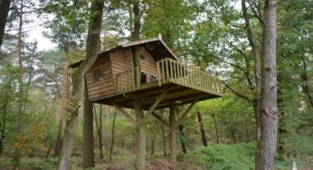 Come costruire una casa sull’albero: i passaggi necessari