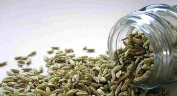 Cosa devi sapere se mangi spesso basilico e semi di finocchio