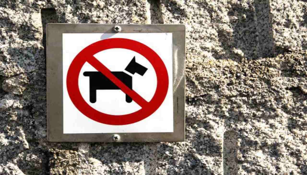 Vietato Cagadas Di Cane,4 Pezzi 30 cm*15 cm*3 mm Segnale Di Avvertimento Per Cani,Segnale Vietato Lasciare Escrementi Di Cani Per Cani Per Segni Di Avvertimento In Giardino