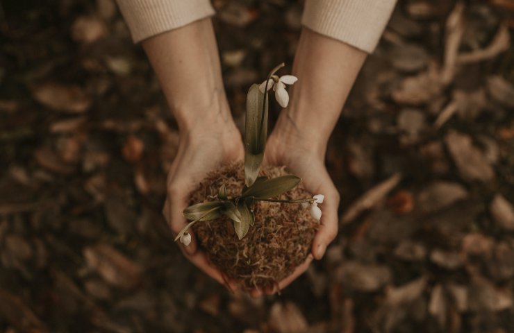 Fiori settembre