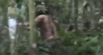Brasile, morto l’ultimo indigeno dell’Amazzonia: viveva così