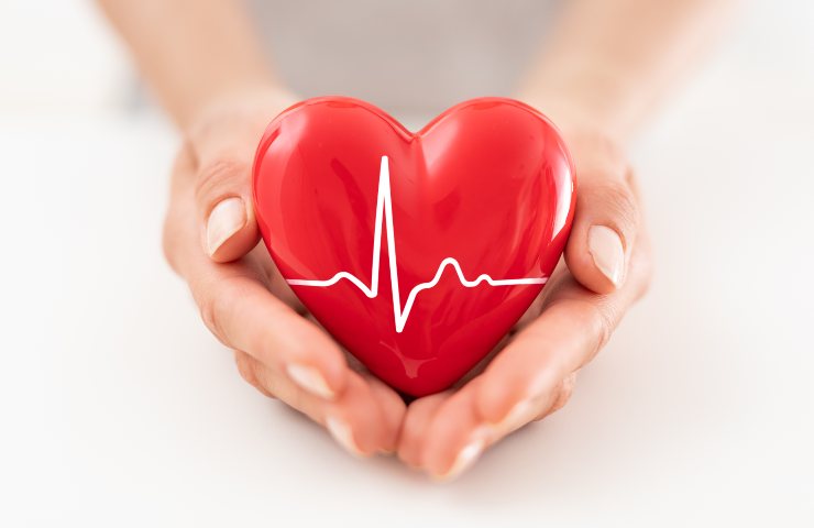 La rappresentazione di un cuore in salute