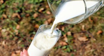 Questo latte va sempre bollito: il consiglio del Ministero della salute