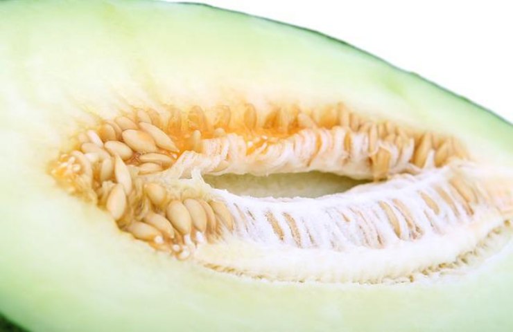 perché mangiare i semi di melone fa bene?