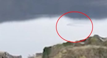 Mostro di Loch Ness, nuovo avvistamento: “Era enorme” | Video