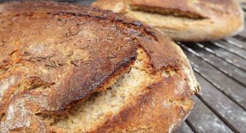 Se hai dispensa sporca e pane vecchio puoi ritrovarti quest’incubo