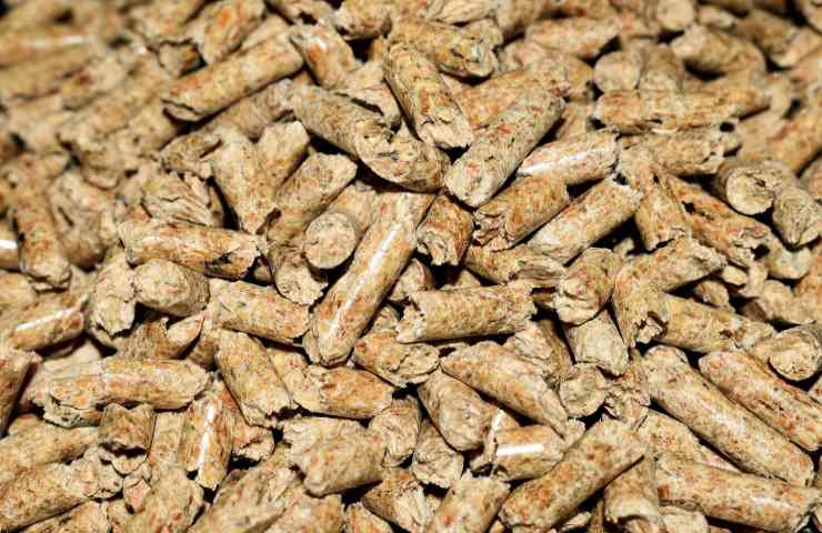 Truffa pellet