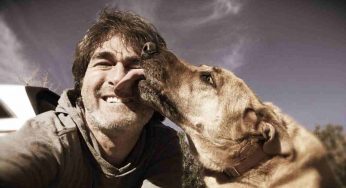 I cani leccano il viso dei padroni: sapete perché?