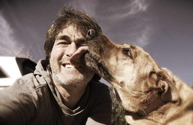 Un cane che lecca il proprio padrone