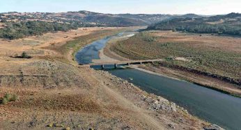 La siccità fa aumentare questi prezzi in tutti i supermercati