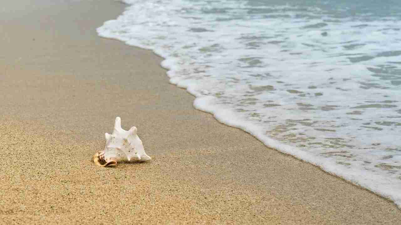 Rischio Multa In Aeroporto Se Prendi Questo Dalla Spiaggia