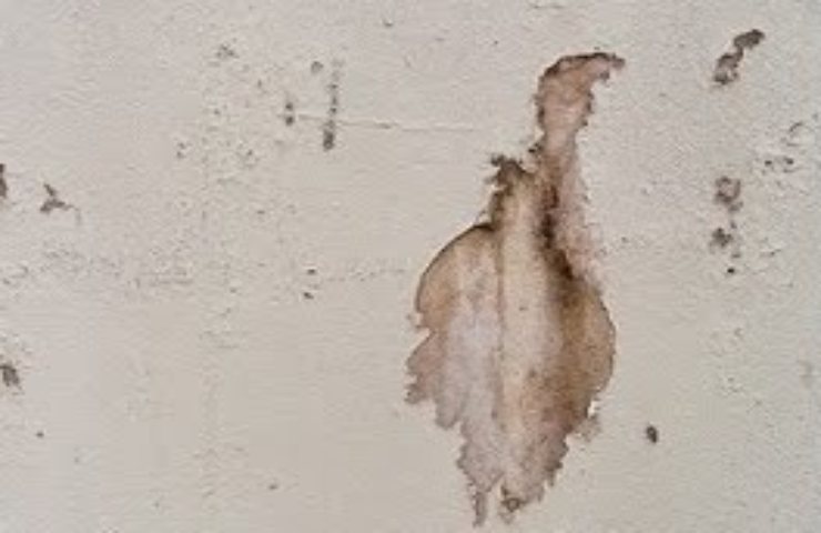 Una macchia di unto su un muro