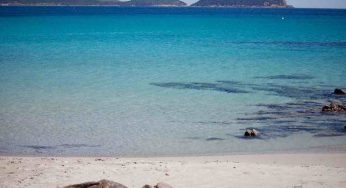 Costa solo 2.50€: dovrebbero portarlo tutti in spiaggia