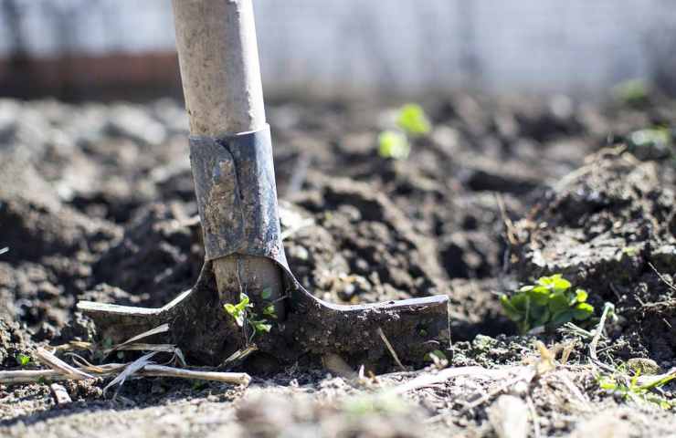 Una vanga conficcata nel terreno