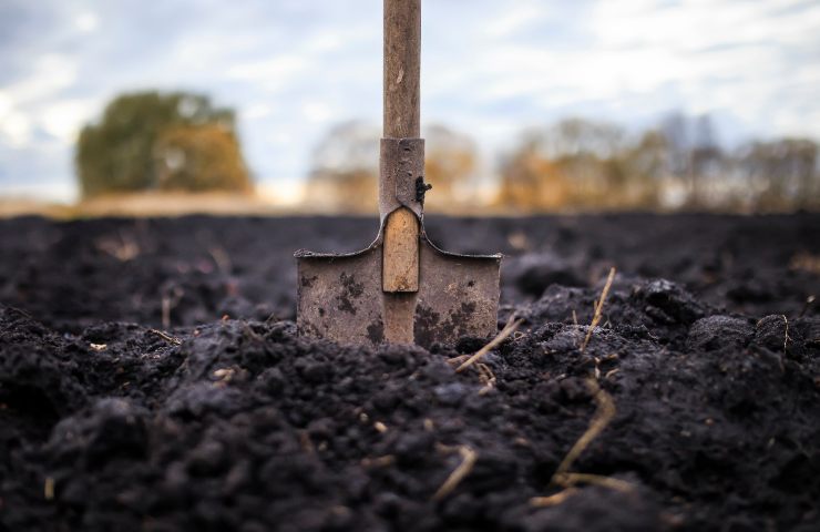 caratteristiche terreno sabbioso