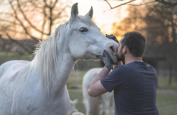 Come reagiscono gli animali ad un tono positivo o negativo nella voce dell'uomo