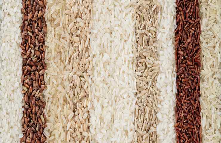 come preparare l'insalata di riso orientale