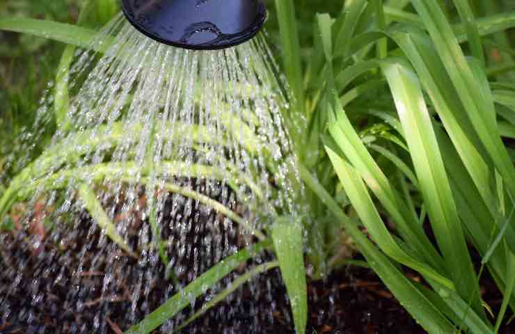 trucchi risparmiare acqua annaffiare orto giardino