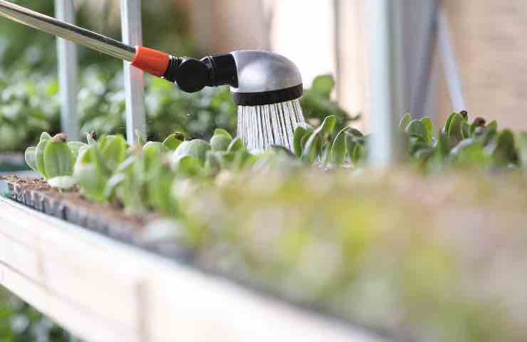 trucchi risparmiare acqua annaffiare orto giardino