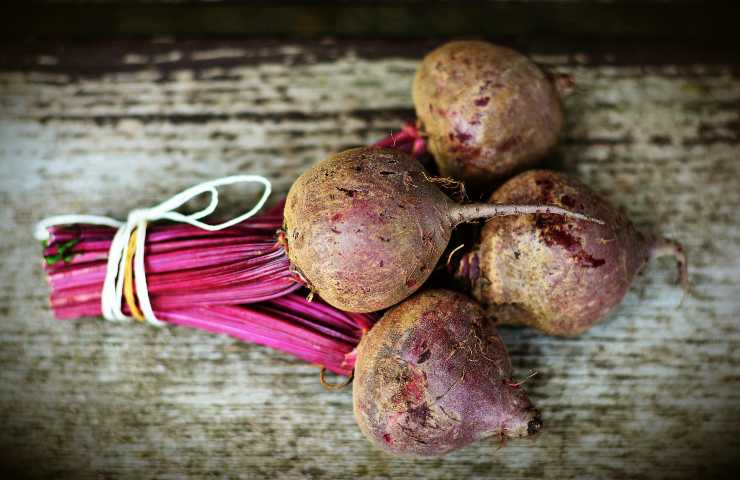 come conservare radici e tuberi nel frigorifero