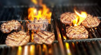 Mangia gli avanzi del barbecue: quello che accade è tragico | Foto