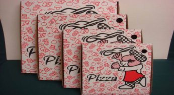 Riciclo cartone pizza: puoi creare questo per i cani