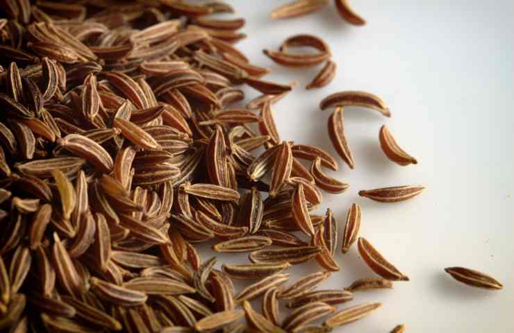 Odori di cucina: con questi semi è possibile eliminarli