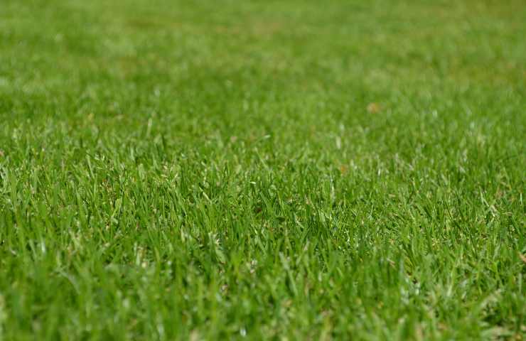 perchè il giardino fa bene all'organismo