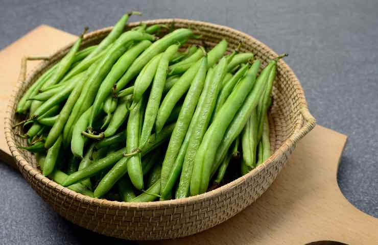 cosa succede cane mangia fagiolini