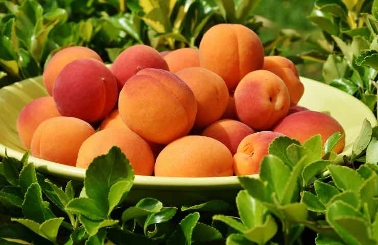 mantenere frutta fresca senza frigorifero