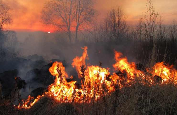 pene incendio intenzionale