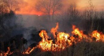 Cosa rischia chi appicca un incendio intenzionalmente