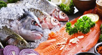 Il pesce coltivato potrebbe entrare presto in commercio: spinta sostenibile o distorsione tecnologica?