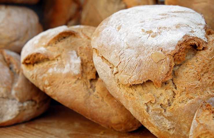 pezzi di pane dove conservarli