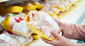 Molti mangiano questo pollo senza nemmeno saperlo