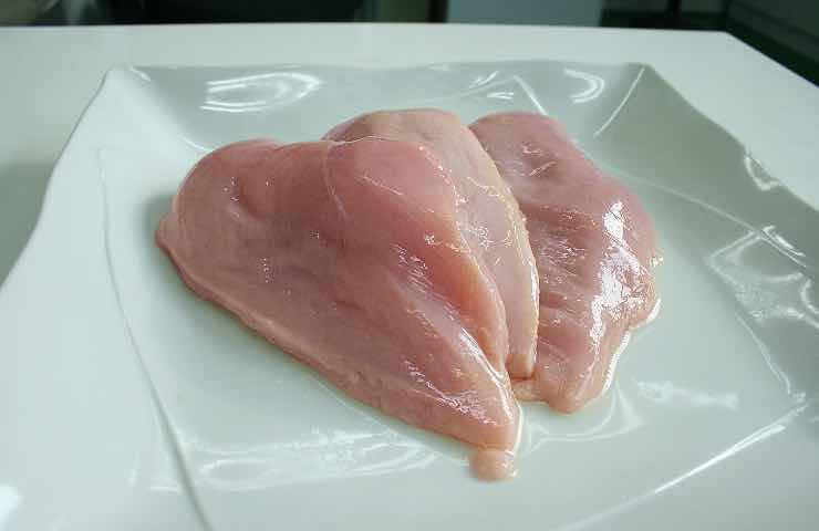 pollo marche più sicure