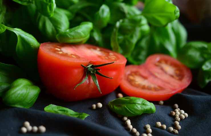 pomodoro basilico crudo