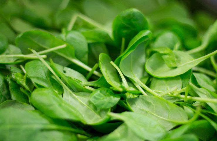 proprietà benefici spinaci