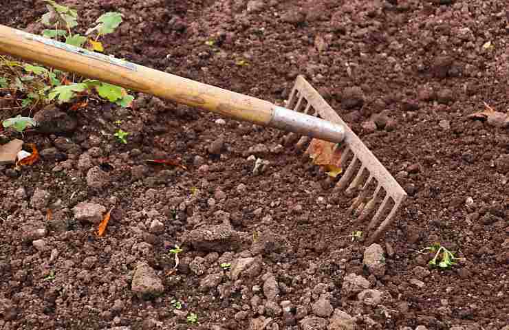 come scegliere il terreno giusto