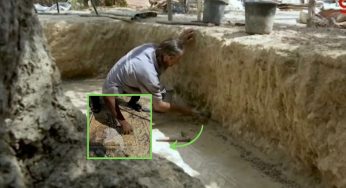 Agricoltore pianta alberi ma quello che trova scavando è assurdo | Video