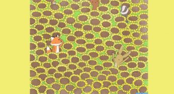 Solo i più brillanti riusciranno a trovare la farfalla tra i fiori | Test