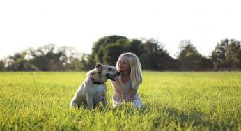 Sei segnali di un cane che sta per morire