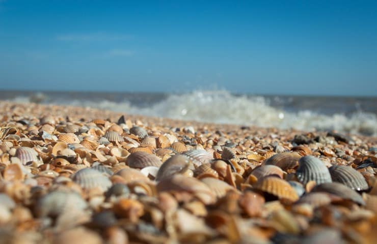 Mangia delle vongole e rimane paralizzata