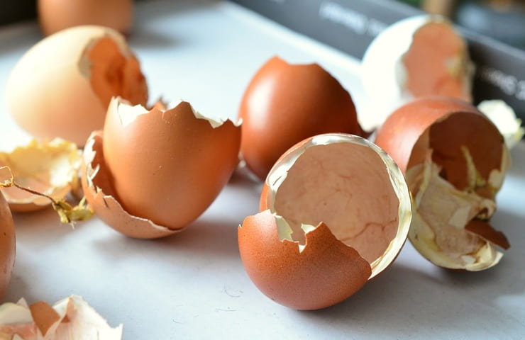 Gusci uova come utilizzarlo