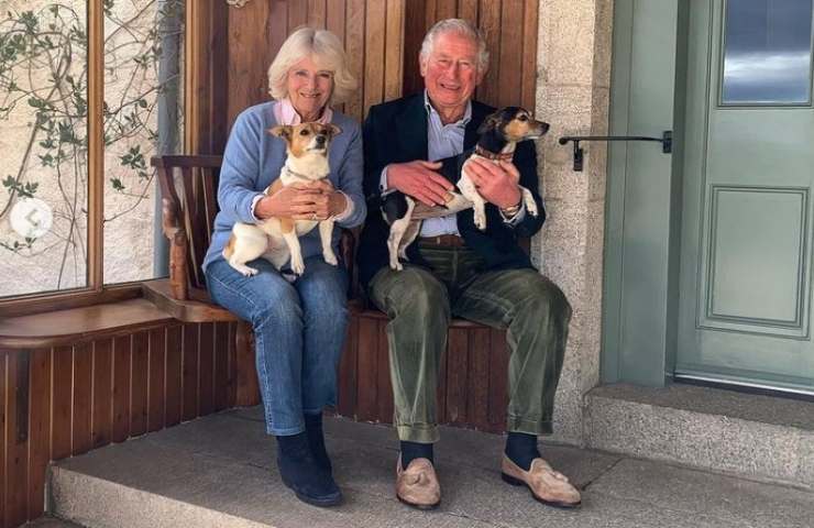 novità a corte per i cani di carlo e camilla