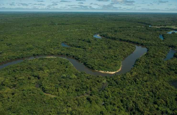 La Foresta Amazzonica vista dall'alto
