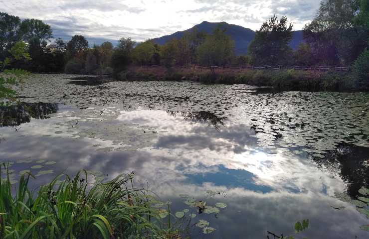 lago borgarino