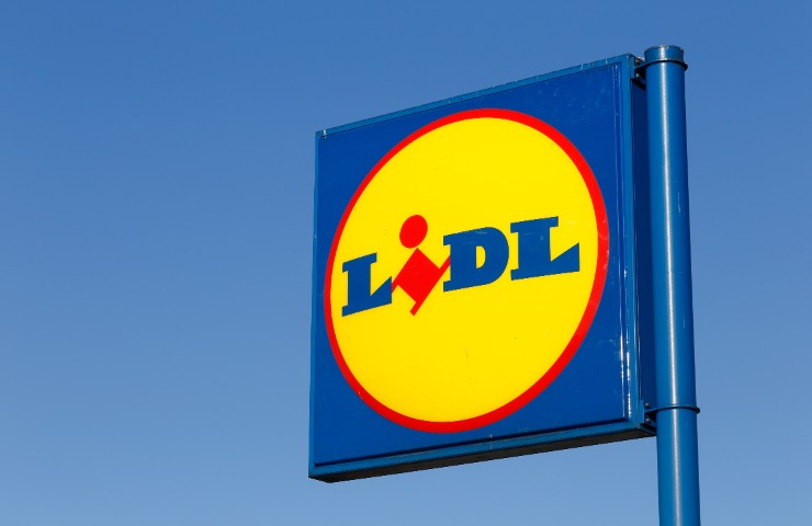 Offerta gioco per cani Lidl