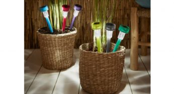 Spettacolo a casa o in giardino: Lidl li vende ad appena 6.99€